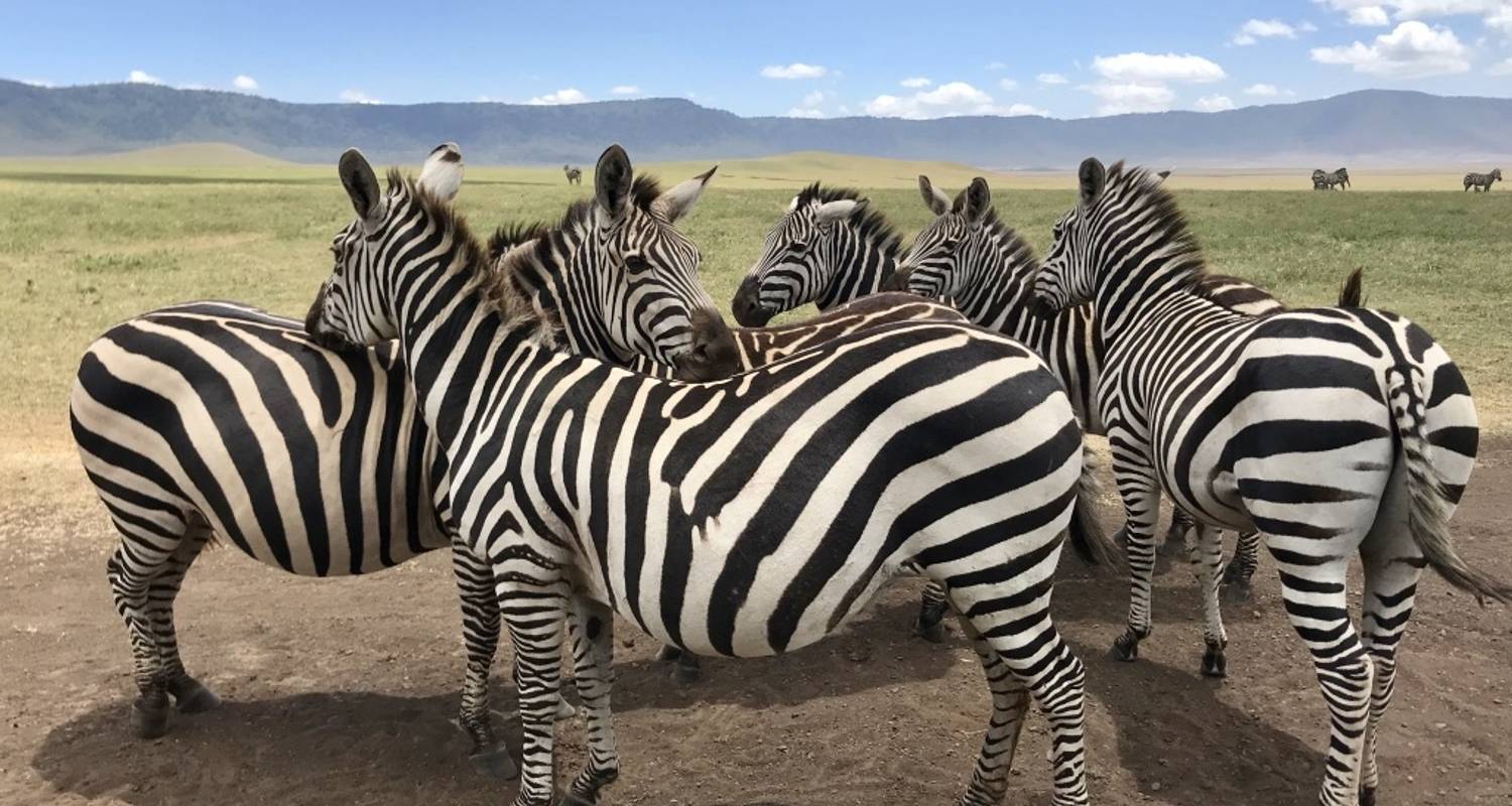 Ngorongoro Crater day tour