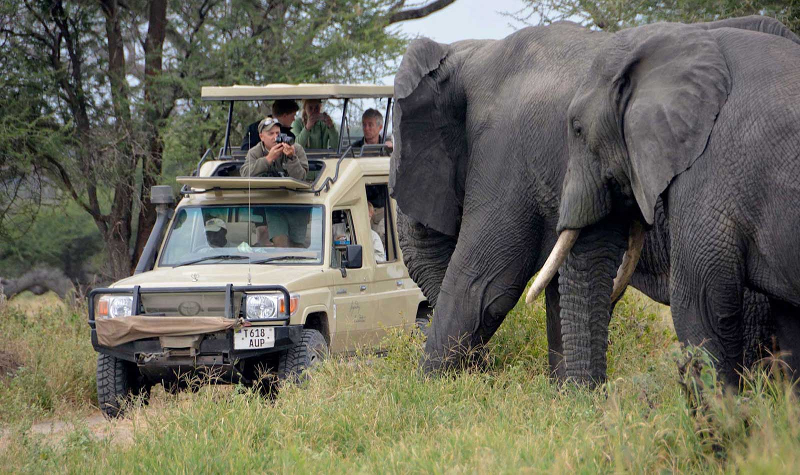 Tarangire National Park day safari