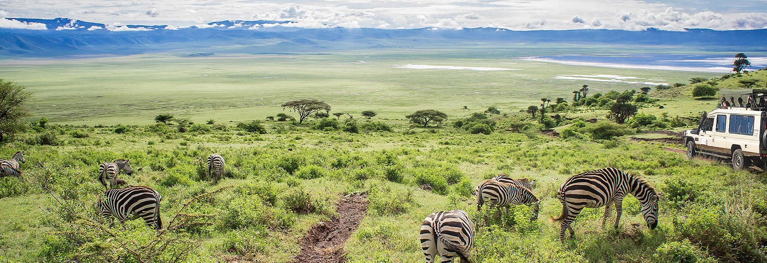Ngorongoro family safari