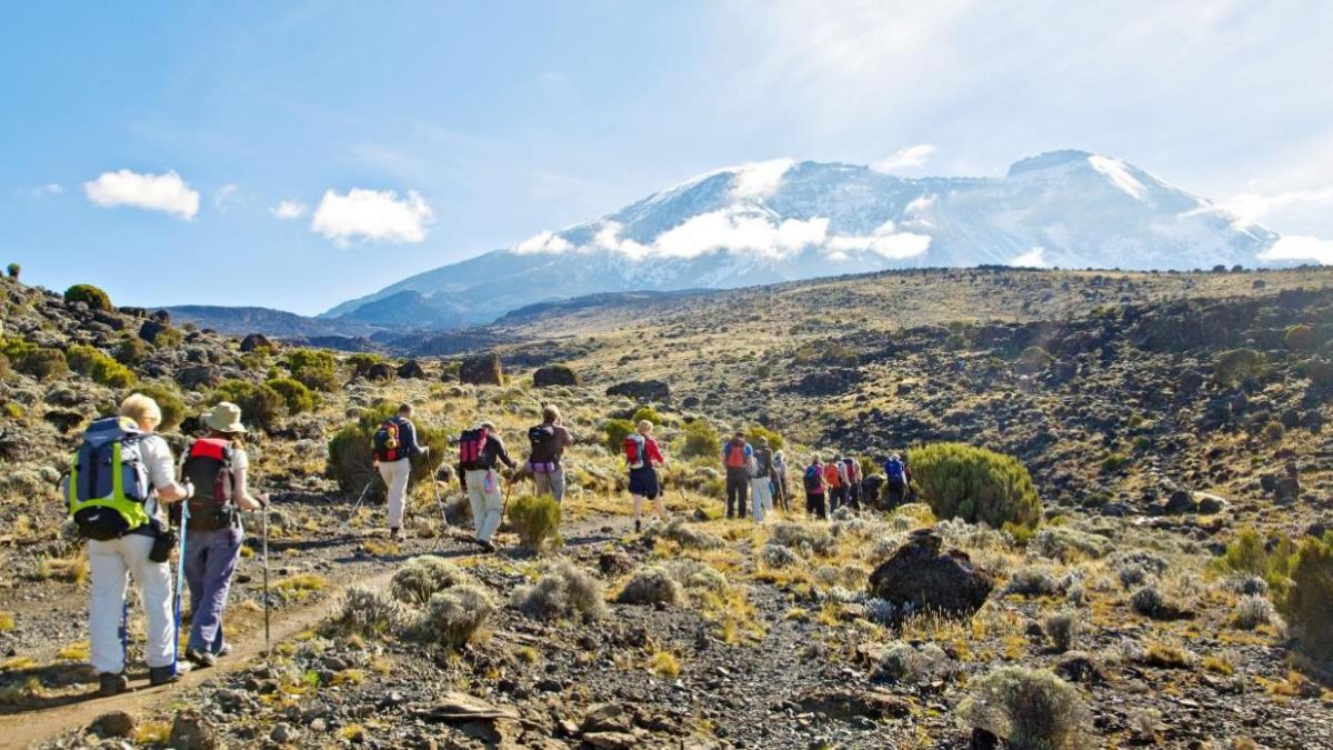 6 Days Kilimanjaro Machame Route