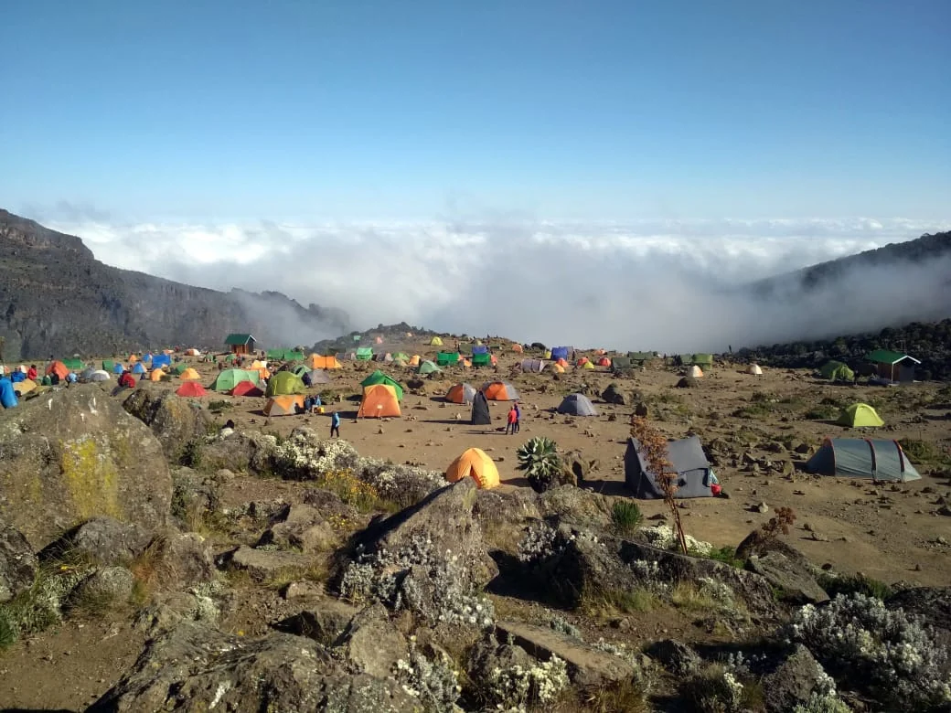Kilimanjaro campsite