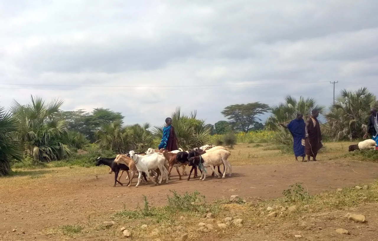 Tanzania local culture
