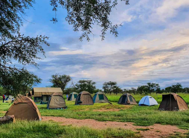 4 Days Tanzania Camping Safari