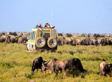 5 Days Tanzania Camping Safari