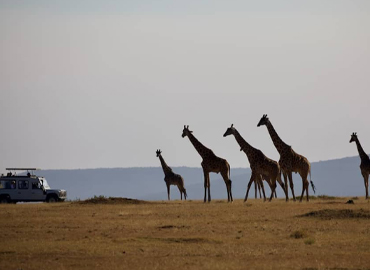 6 Days Tanzania Camping Safari