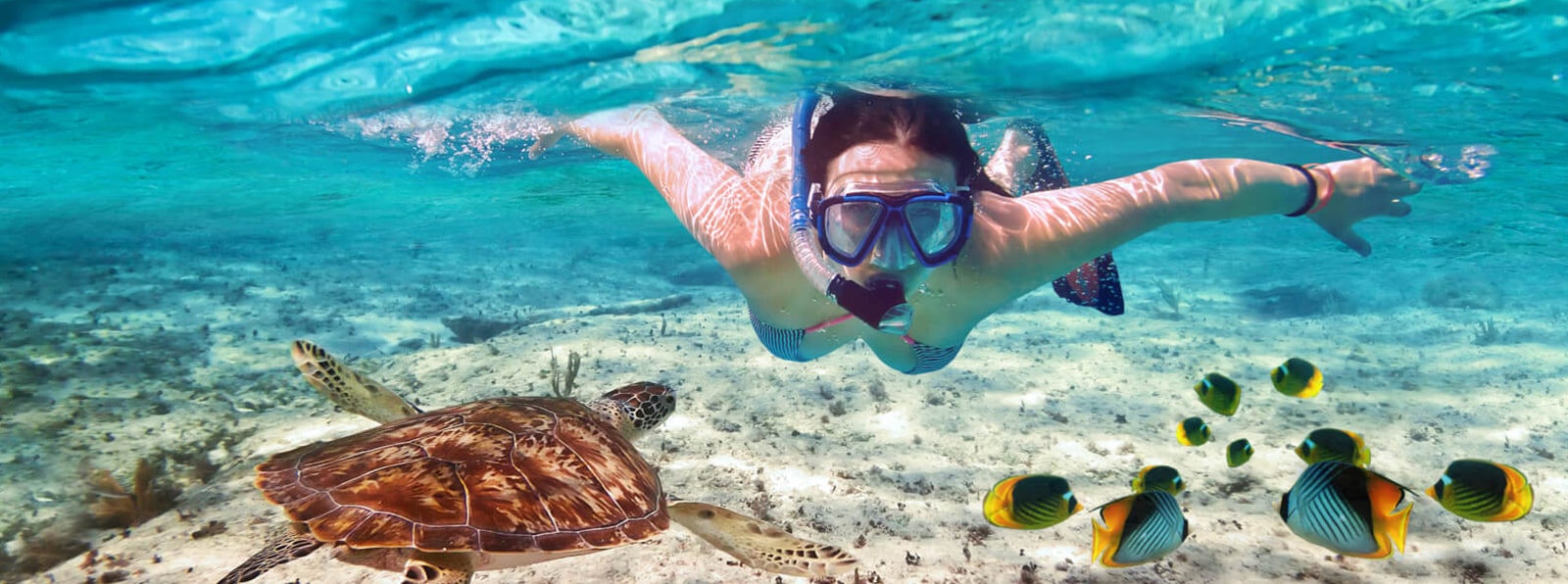 Snorkeling Zanzibar
